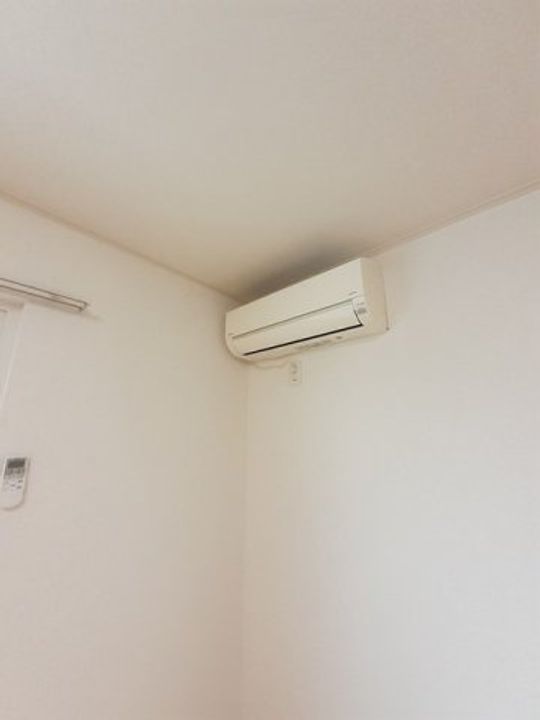 トゥルーランド錦 Cのその他画像