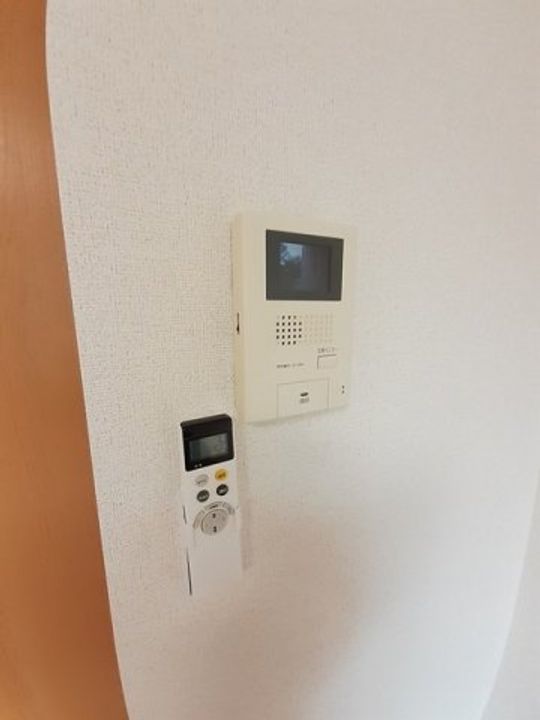 トゥルーランド錦 Cのその他画像