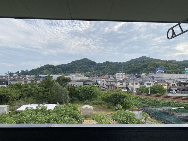 サンフラワー山波のその他画像