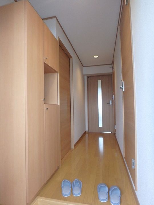 岡山県倉敷市真備町川辺(マンション)の賃貸物件の玄関