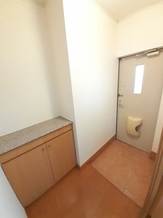 岡山県倉敷市中島(アパート)の賃貸物件の玄関