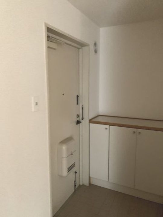 岡山県岡山市南区東畦(マンション)の賃貸物件903の玄関