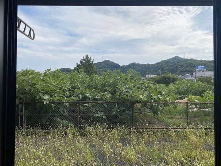 サンフラワー山波のその他画像