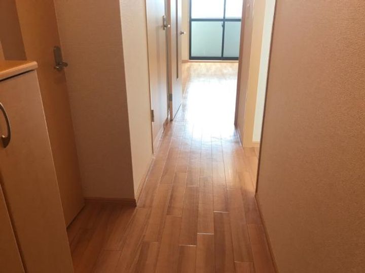 岡山県倉敷市真備町川辺(アパート)の賃貸物件の玄関