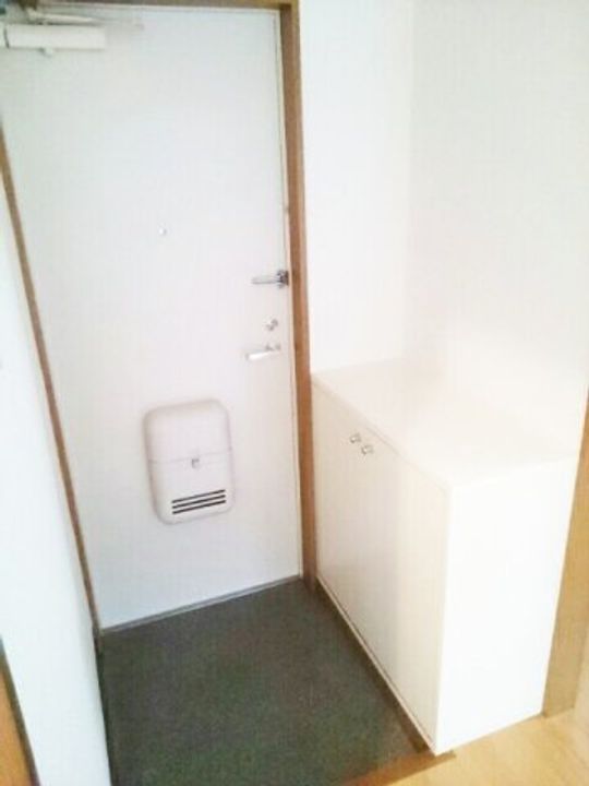 岡山県倉敷市船穂町船穂(アパート)の賃貸物件の玄関