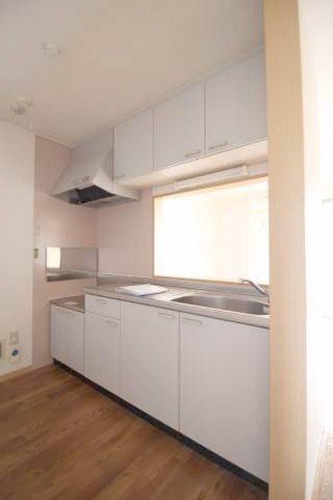 岡山県浅口市鴨方町鴨方(アパート)の賃貸物件102のキッチン