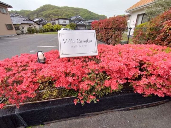 Villa cameliaのその他画像