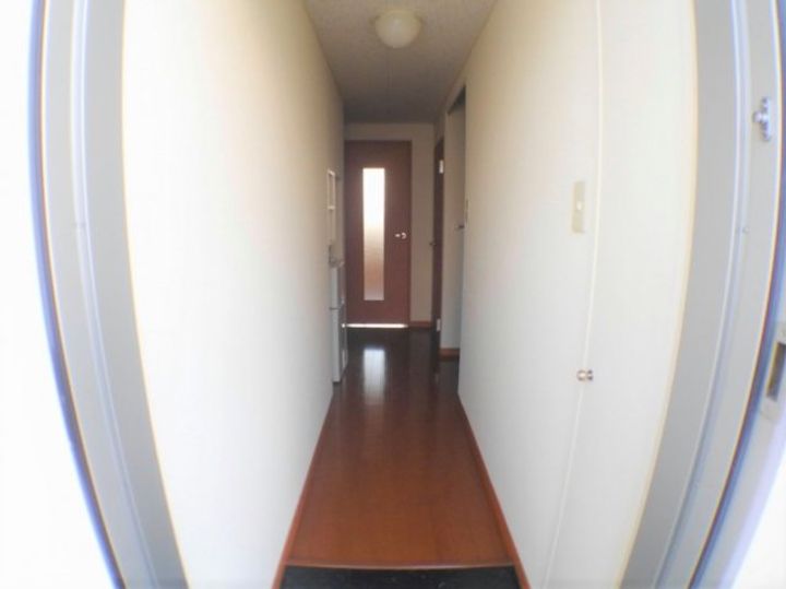 レオパレスMARIA105の玄関