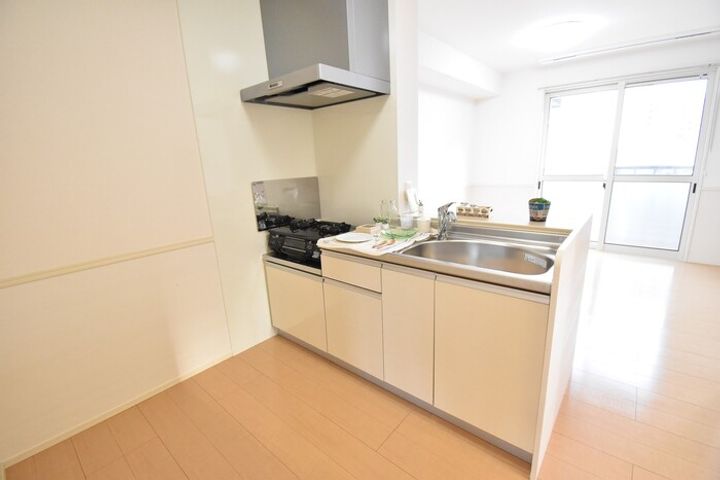 プラティーク ハバラ205のキッチン