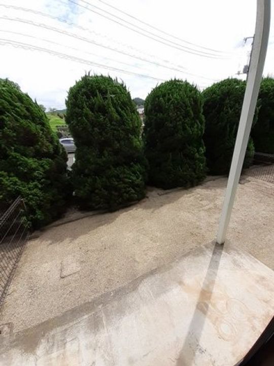 サンフォルムMarkⅡのその他画像