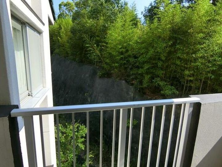 タートルハイツ202のその他画像