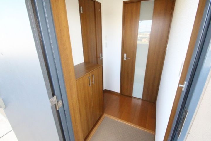 岡山県岡山市南区大福(マンション)の賃貸物件405の玄関