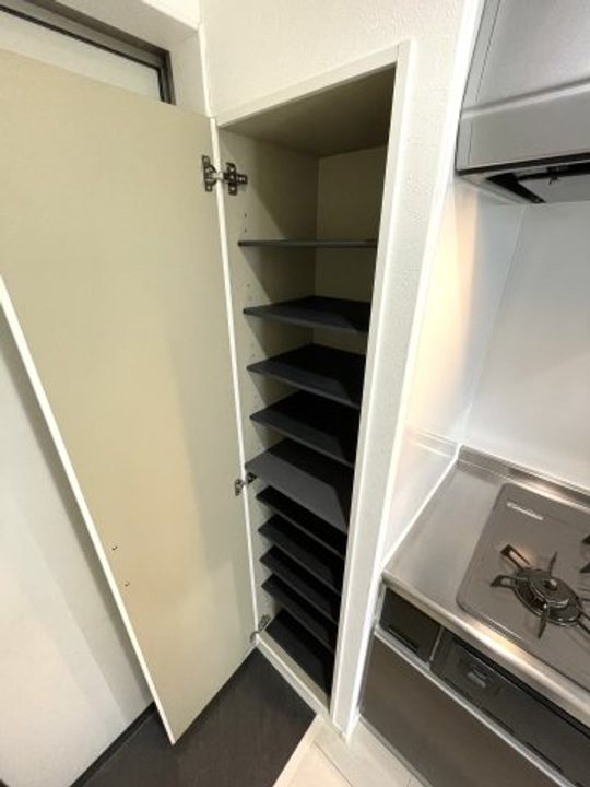 カーサフォルテ辻町101の玄関