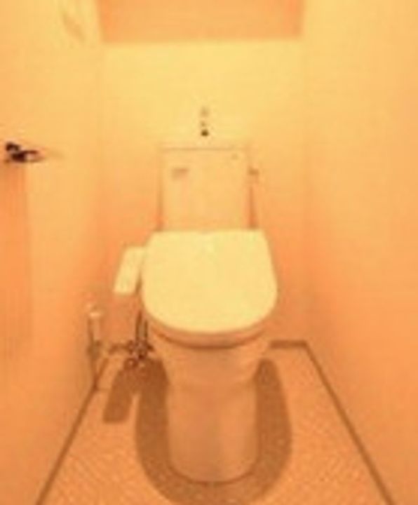 ジェノヴィア本所吾妻橋Ⅱスカイガーデン302のその他画像