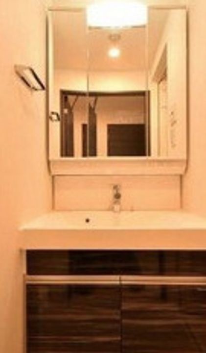 ジェノヴィア本所吾妻橋Ⅱスカイガーデン302のその他画像