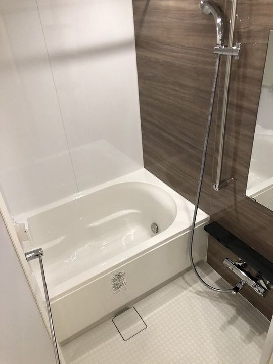 エストゥルース両国Ⅱの風呂