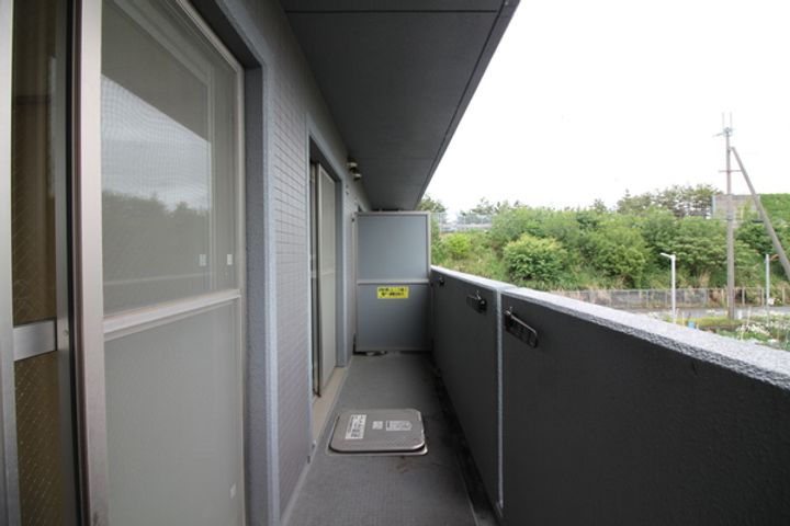 滋賀県長浜市榎木町の賃貸マンションの内装