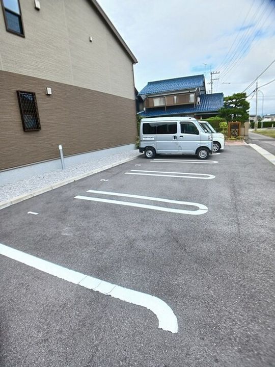スターチスのその他画像