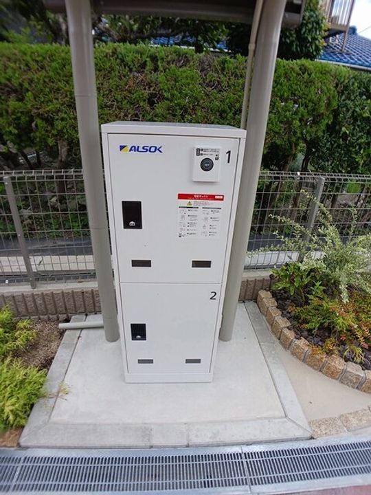 スターチスのその他画像