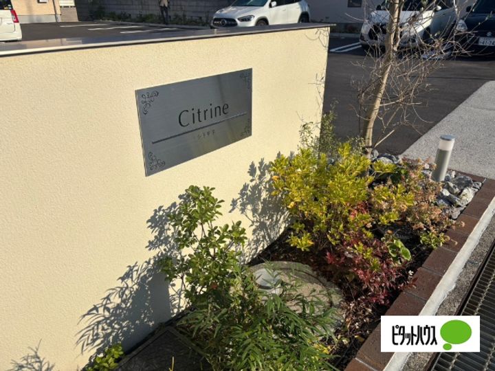 滋賀県長浜市八幡中山町の賃貸マンションのその他画像