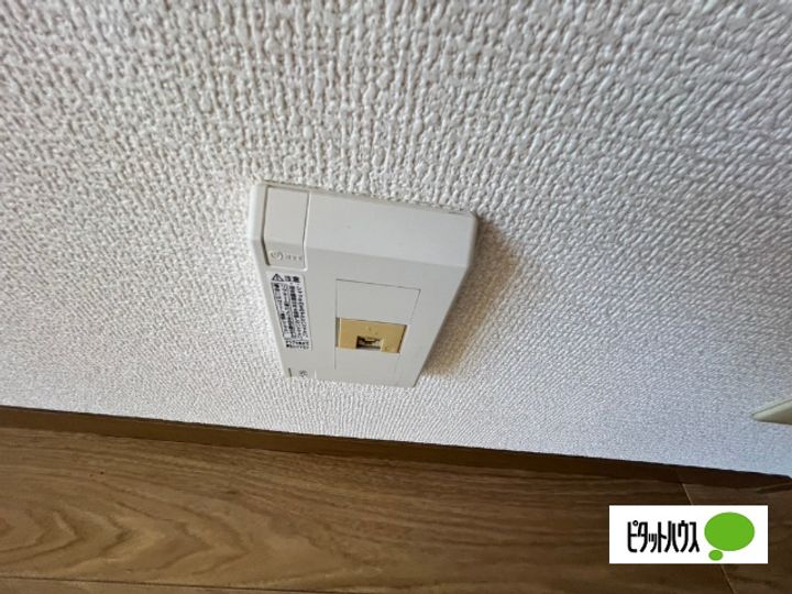 エミナ・コレージュのその他画像