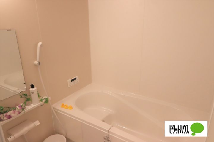 滋賀県近江八幡市西庄町の賃貸アパートの風呂