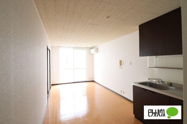 滋賀県近江八幡市鷹飼町北2丁目の賃貸アパートの居間