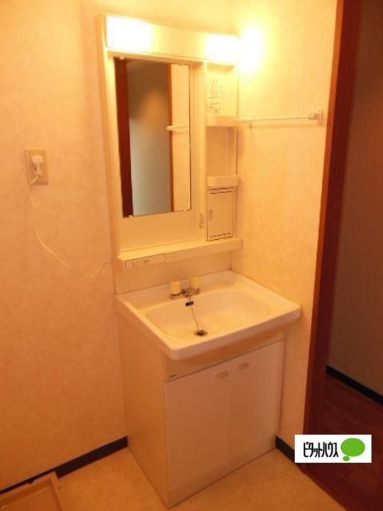 滋賀県東近江市佐野町の賃貸マンションの内装