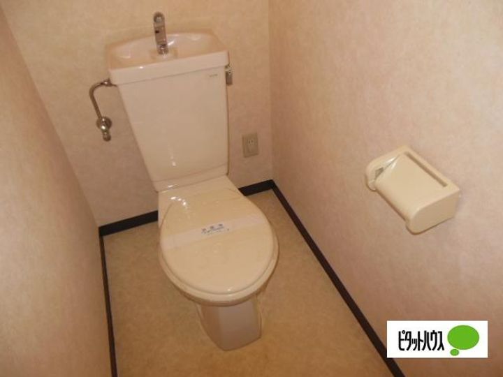 滋賀県東近江市佐野町の賃貸マンションの内装