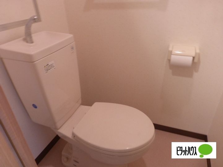 滋賀県野洲市小篠原の賃貸マンションの内装