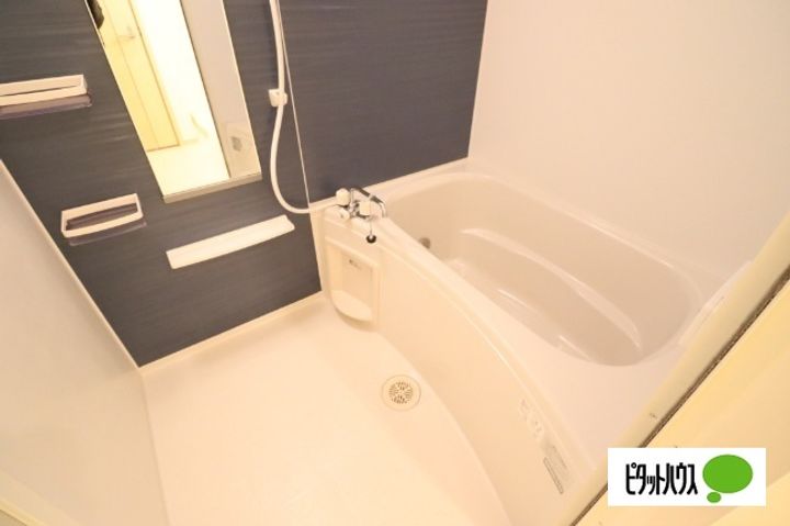 滋賀県近江八幡市安土町小中の賃貸アパートの風呂