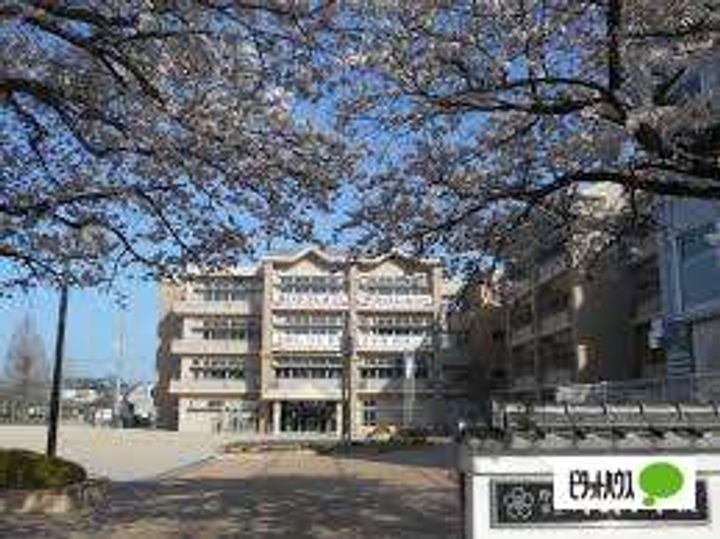 滋賀県野洲市市三宅の賃貸マンションの周辺