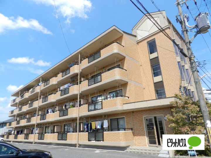 滋賀県近江八幡市中村町の賃貸マンションの外観