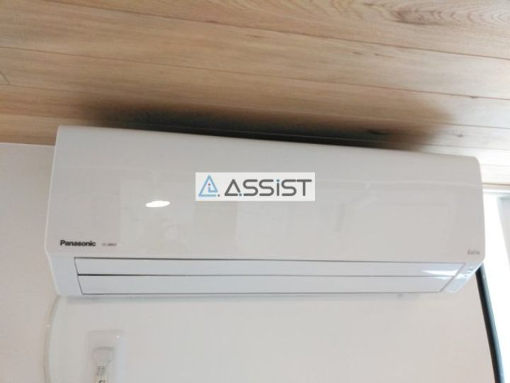 Felizのその他画像