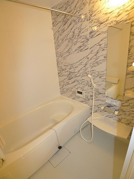 ロイジェントパークス レイクタウン Oの風呂