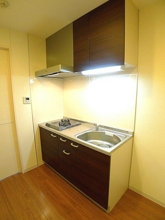 埼玉県越谷市レイクタウン8丁目の賃貸マンションのキッチン