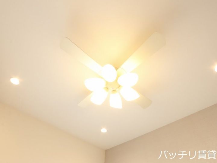 サダルスウドのその他画像