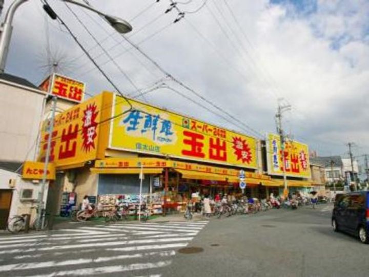 レオネクスト杉の周辺