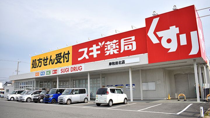 レオパレスマザーグースの周辺
