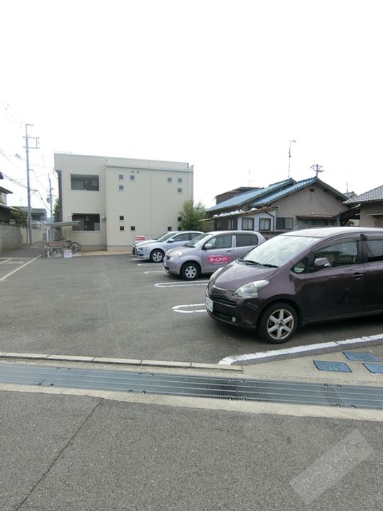 プリムローズのその他画像