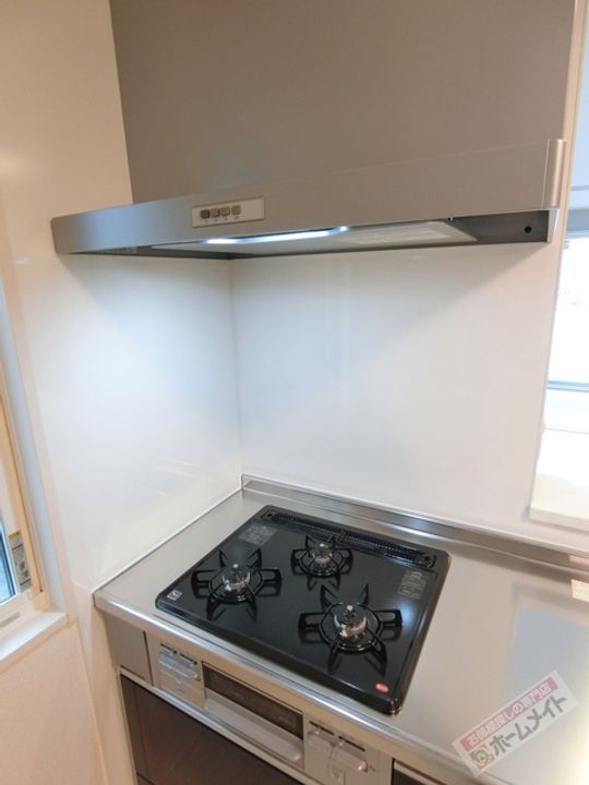 ルナピエーナ B棟205のキッチン