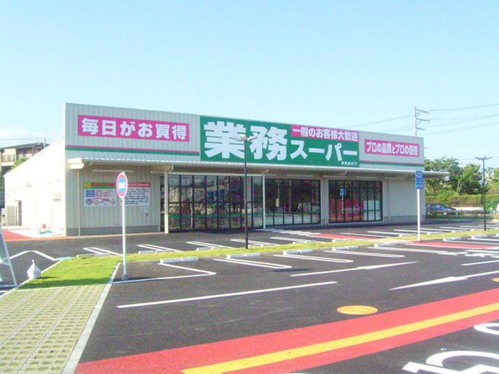 レオネクスト丹比多治井荘201の周辺