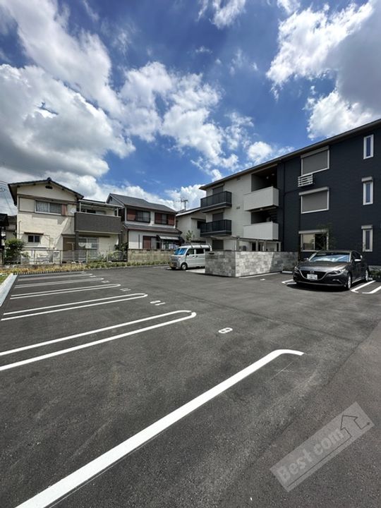 クレマチスのその他画像