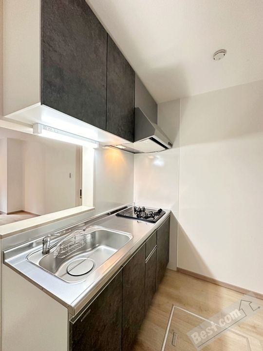 ラフィニール堺東101のキッチン