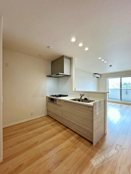 シャーメゾン ヴィアソーレ201のキッチン