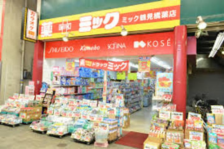 グランパシフィック花園innovationの周辺