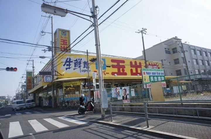 ココ シュシュの周辺