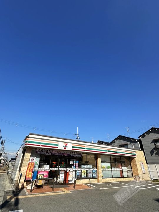 パイン・ツリーの周辺