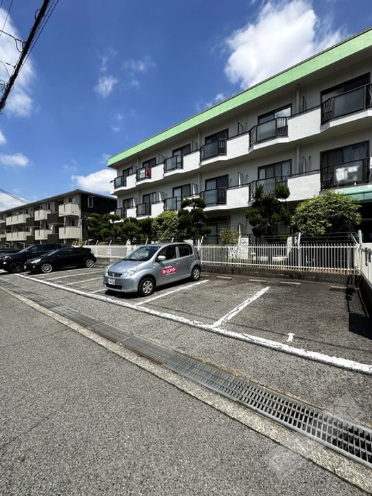 レディース金剛のその他画像