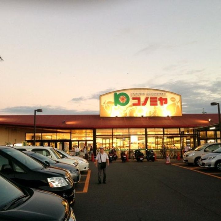 レオネクストくみのきの周辺